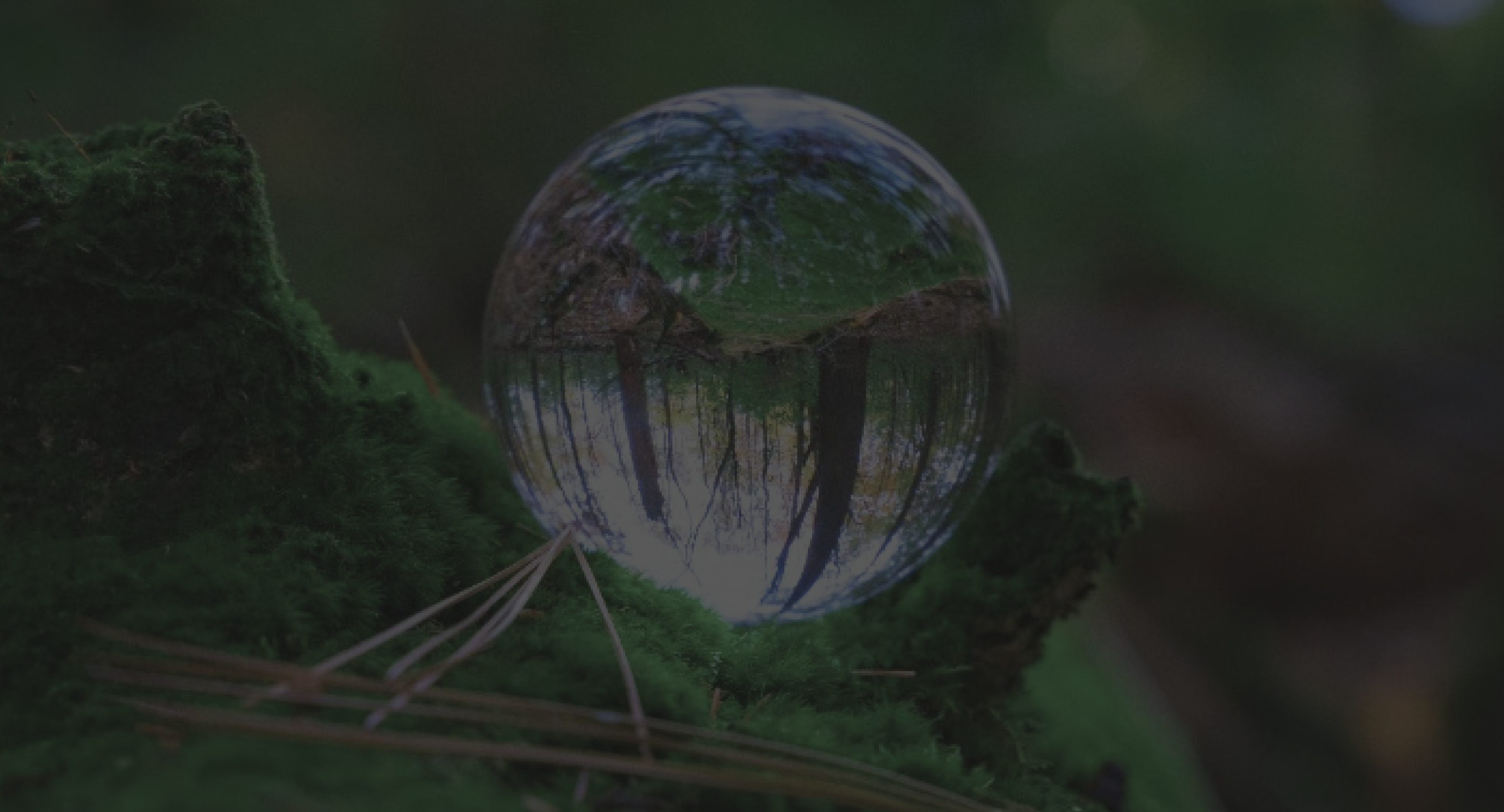 case03 work-image-1